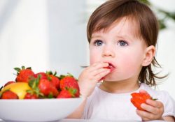 alimentos-ninos-organicos-e-integrales